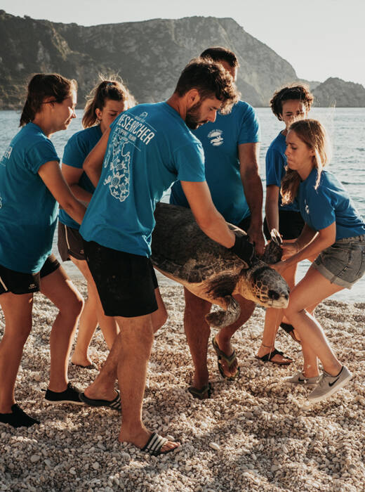 Voluntarios transportando la tortuga